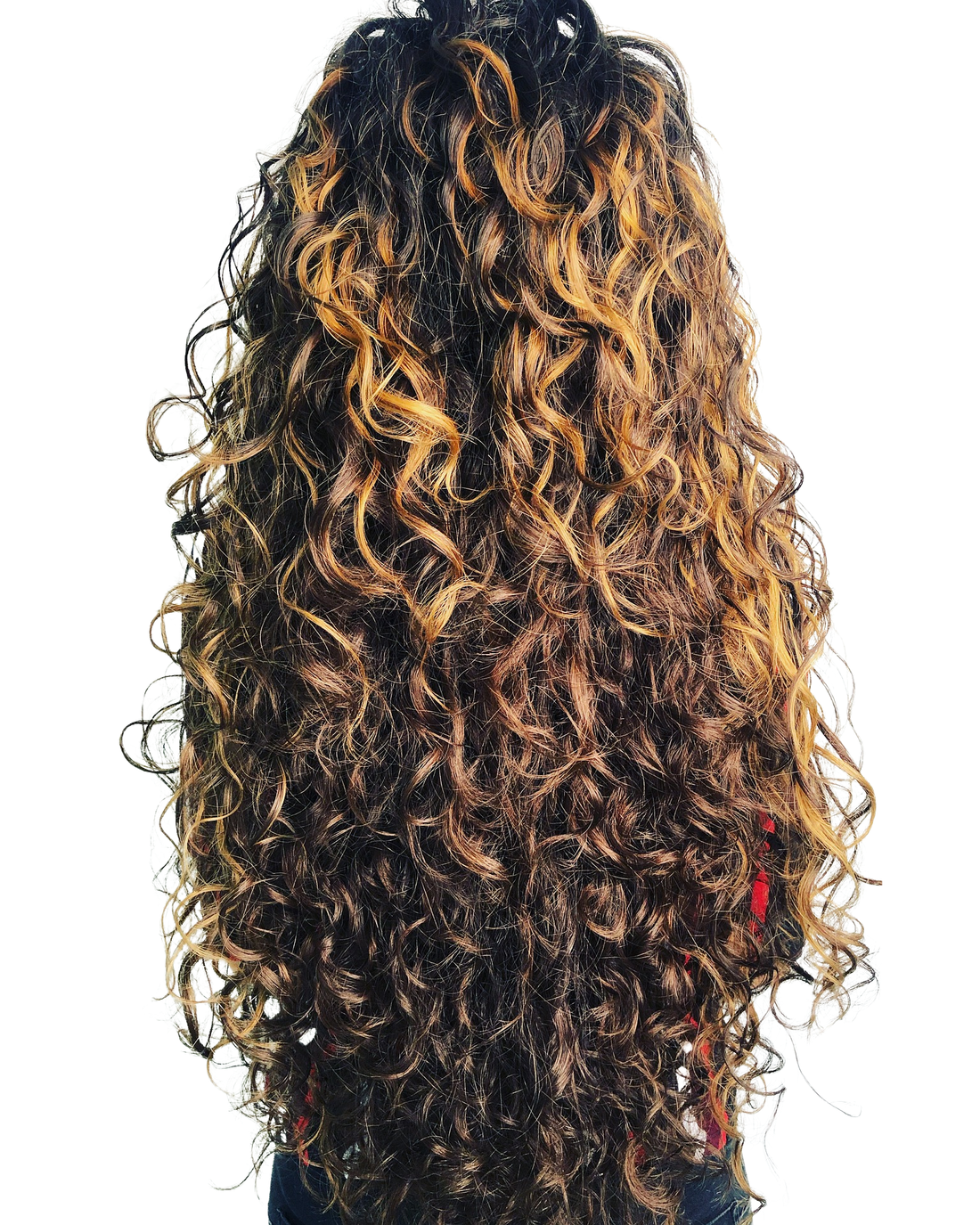 Cheveux texturés : pourquoi sont-ils plus secs ?